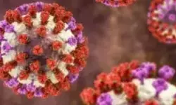 DKK Sukoharjo belum dapat laporan kasus super flu