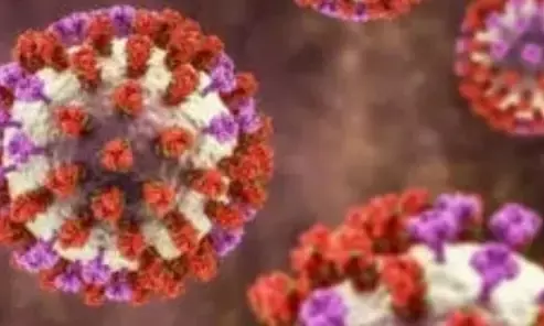 DKK Sukoharjo belum dapat laporan kasus super flu DKK Sukoharjo belum dapat laporan kasus super flu