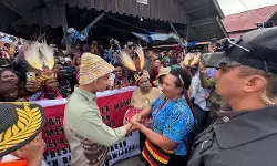 Wapres tinjau Pasar Potikelek Jayawijaya, Pemkab sebut harga stabil