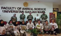 Fakultas Peternakan UGM kembangkan inovasi pakan ternak lengkap gizi
