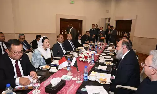 Indonesia dan Pakistan perkuat kerja sama perdagangan sawit Indonesia dan Pakistan perkuat kerja sama perdagangan sawit