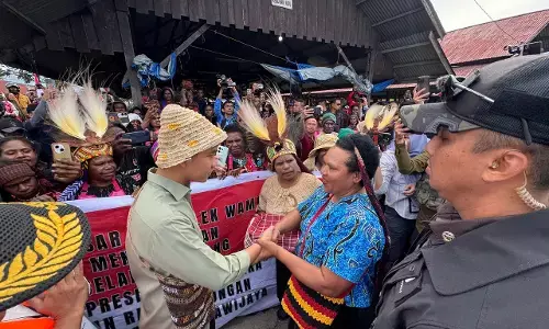 Wapres tinjau Pasar Potikelek Jayawijaya, Pemkab sebut harga stabil
