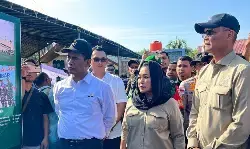 Mentan tinjau langsung proses pemulihan sawah terdampak di Aceh