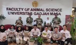 Fakultas Peternakan UGM kembangkan inovasi pakan ternak lengkap gizi