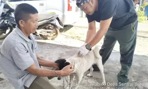 Cegah rabies, Rejang Lebong minta pemilik HPR tidak dilepasliarkan