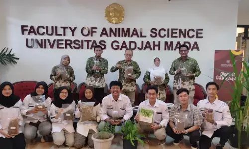 Fakultas Peternakan UGM kembangkan inovasi pakan ternak lengkap gizi