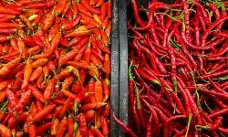 PIHPS: Harga cabai rawit merah Rp57.150/kg, telur ayam Rp36.000/kg