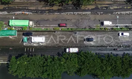 KKP finalisasi survei pantura untuk proyek tanggul laut