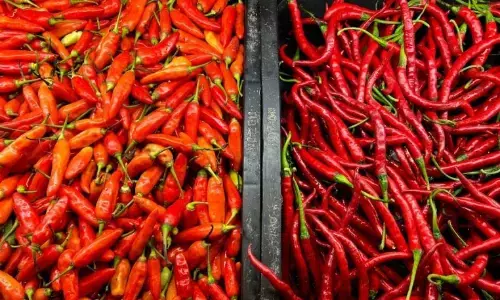 PIHPS: Harga cabai rawit merah Rp57.150/kg, telur ayam Rp36.000/kg PIHPS: Harga cabai rawit merah Rp57.150/kg, telur ayam Rp36.000/kg