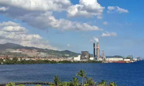 UNIDO: Kawasan industri IWIP strategis bagi industri nikel global