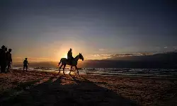 Komite Gaza diumumkan, Trump pimpin arah transisi kekuasaan Komite Gaza diumumkan, Trump pimpin arah transisi kekuasaan