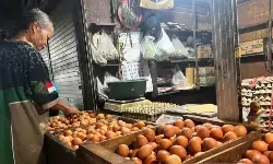 PIHPS: Harga cabai rawit merah Rp49.850/kg, telur ayam Rp32.100/kg