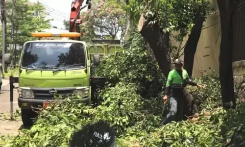 Bina Marga DKI bahas sanksi ASN soal dugaan penebangan pohon ilegal