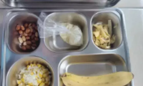 Miskonsepsi susu untuk MBG, memaknai gizi dalam kebijakan publik