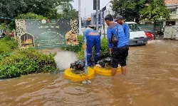 Legislator DKI minta antisipasi banjir berbasis kecamatan-kelurahan