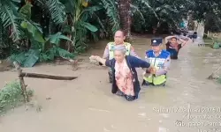 Luapan Sungai Comal rendam permukiman warga dua desa di Pemalang