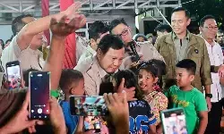 BNPB: Jumlah pengungsi Sumatera menurun di tengah percepatan pemulihan BNPB: Jumlah pengungsi Sumatera menurun di tengah percepatan pemulihan