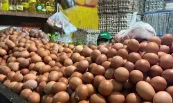 PIHPS: Harga cabai rawit merah Rp55.000/kg, telur ayam Rp31.950/kg