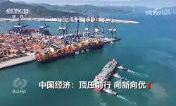 Memahami nilai dan peluang baru dari “5%”