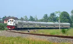 KAI Sumut ajak warga jaga keselamatan KA, cegah ternak masuk rel