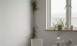 Tips atasi rumah lembap dan jamur di musim hujan