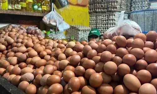 PIHPS: Harga cabai rawit merah Rp55.000/kg, telur ayam Rp31.950/kg