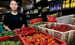 PIHPS: Harga cabai rawit merah Rp48.600/kg, telur ayam Rp33.700/kg
