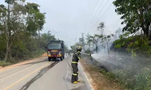 Cegah karhutla, Polda Kepri padamkan kebakaran semak belukar