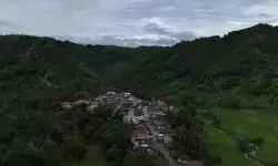 Desa tertinggal di kawasan hutan jadi prioritas Kemenhut