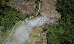 Tani Merdeka dukung Presiden cabut izin 28 perusahaan perusak hutan