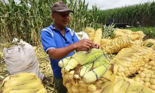 Harga pangan hari ini: Bawang merah Rp40.396, telur ayam Rp30.648/kg