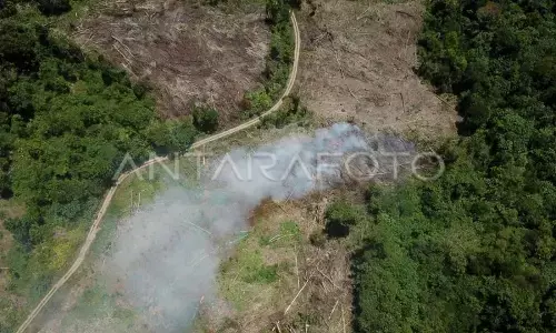 Tani Merdeka dukung Presiden cabut izin 28 perusahaan perusak hutan Tani Merdeka dukung Presiden cabut izin 28 perusahaan perusak hutan