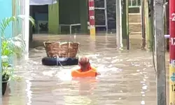 Banjir kiriman Ciliwung rendam Kebon Pala hingga 130 cm