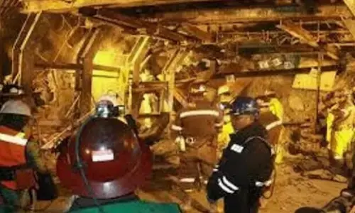 Freeport McMoRan berencana ajukan perpanjangan izin tambang tahun ini