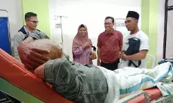 Pohon tumbang di Gunung Tidar, satu peziarah tewas