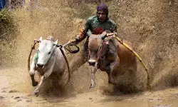 Tanah Datar siapkan agenda wisata untuk bangkit pascabencana banjir