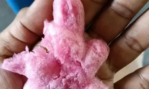 Polisi pastikan es gabus aman dan layak konsumsi