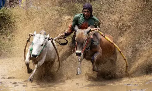 Tanah Datar siapkan agenda wisata untuk bangkit pascabencana banjir