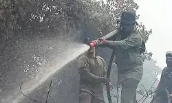 BPBD: 14 hektar lahan terbakar sudah berhasil dipadamkan