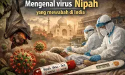 Mengenal virus Nipah yang kini mewabah di India Mengenal virus Nipah yang kini mewabah di India