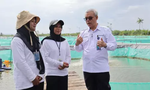 Kemnaker: Magang Nasional solusi lulusan baru menembus dunia kerja