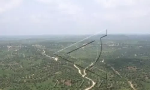 Pakar: Penertiban kawasan hutan perlu selaras kepastian hukum HGU