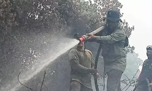 BPBD: 14 hektar lahan terbakar sudah berhasil dipadamkan