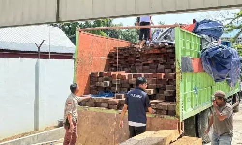 Kemenhut gagalkan pengangkutan 544 batang kayu tanpa dokumen di Sulsel
