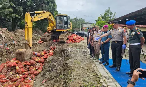 Polrestabes Semarang musnahkan 6.171 karung bawang bombay ilegal