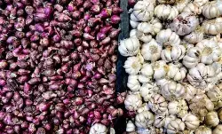 BPS catat tren kenaikan harga bawang putih hingga Rp39.810 per kg