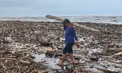 Kayu misterius di Pantai Larangan viral, Kapolres Tegal cek lokasi