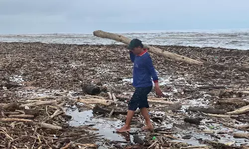 Kayu misterius di Pantai Larangan viral, Kapolres Tegal cek lokasi