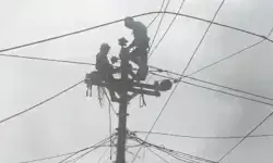 PLN fokus pulihkan listrik terdampak banjir-longsor di Purbalingga PLN fokus pulihkan listrik terdampak banjir-longsor di Purbalingga