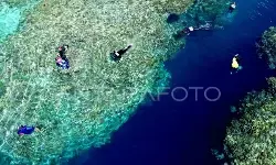 RI jamin program konservasi terumbu karang bersama AS berjalan RI jamin program konservasi terumbu karang bersama AS berjalan